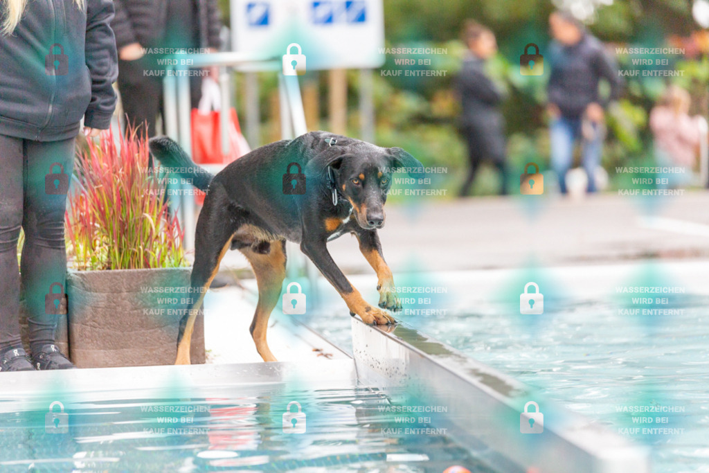 _HP_7344_1000o | HetPix, HetPix Fotodesign, Fotografie, Fotodesign, Webshop, Sportfotografie, Portraitfotografie, Onlineshop, Sportfotografie, Polch, Motorsportfotografie, Eventfotografie