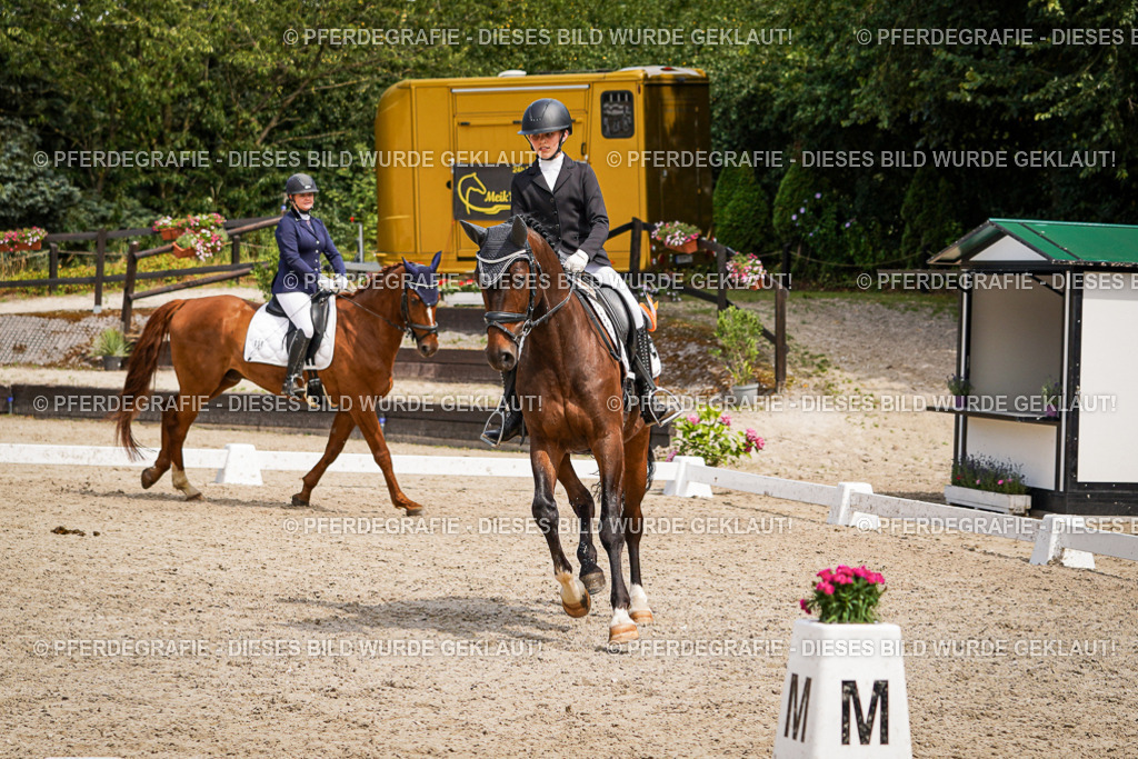 DSC04622 | Pferdegrafie