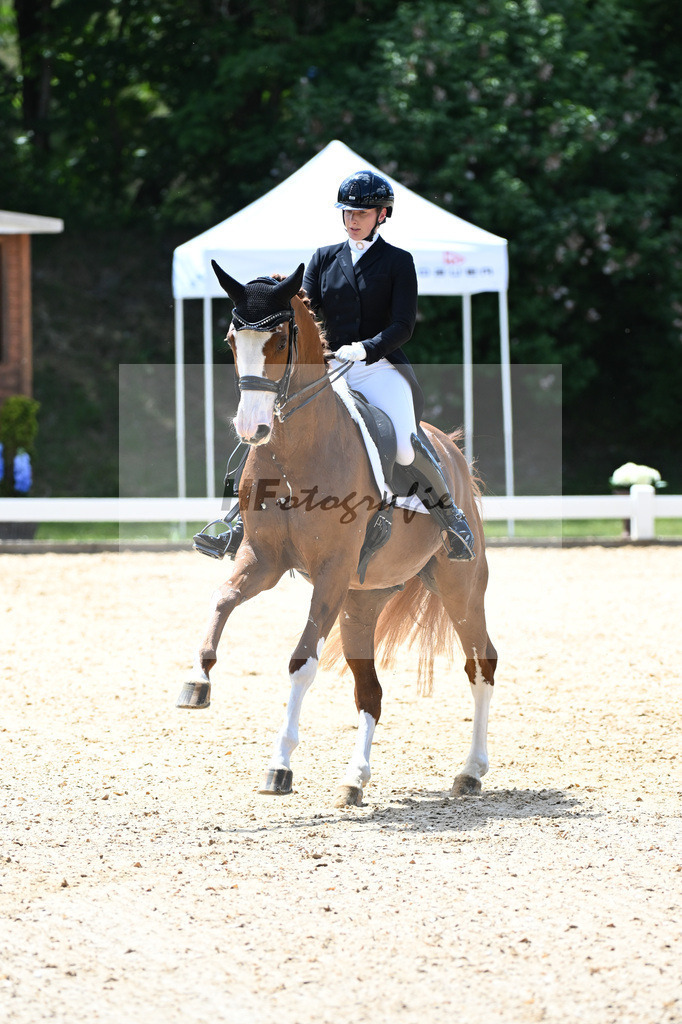 Harsdorf_Daydream d Arion_11252903 | hf-fotografie - Realizzato con Pictrs.com