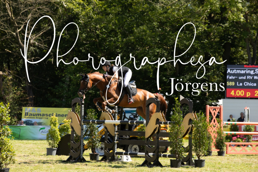 IMG_9107 | photographesa-joergens - Realisiert mit Pictrs.com