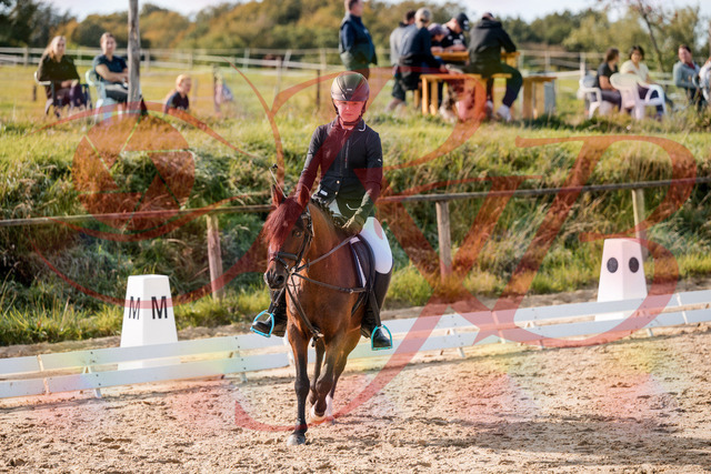 2026_10_03_Siefer-Hof_120541_Z63_36325888 | Professionelle Reitsport-, Turnier- und Eventfotografie von Robert Broda. Galerien mit ausgewählten und bearbeiteten Bildern direkt online ansehen und bestellen.