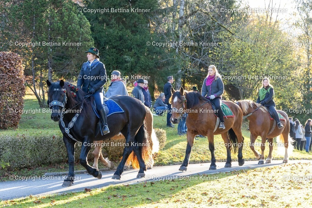 LL24-161 | foto-bettina-krinner - Realisiert mit Pictrs.com
