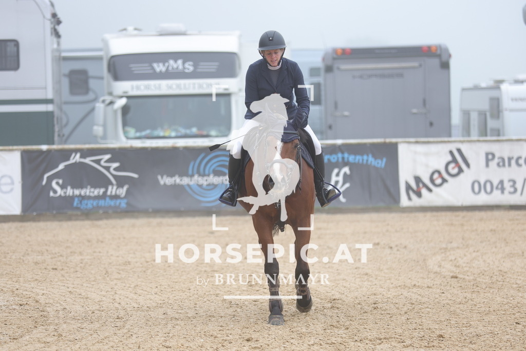 0P6A0450 | Willkommen bei Brunnmayr - Design & Fotografie – Ihrem Spezialisten für Reitturniere und Pferdeveranstaltungen in Oberösterreich, Salzburg und Bayern! Seit über 17 Jahren sind wir leidenschaftlich dabei.
