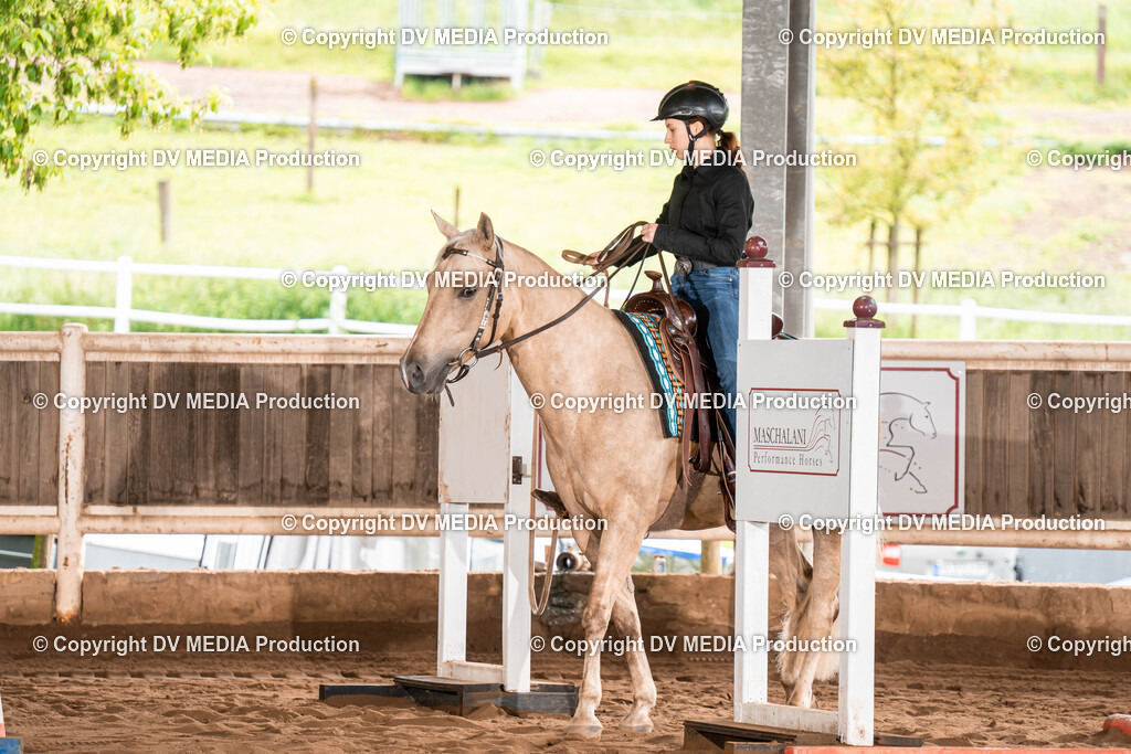 Erbach Tag 1-126 | dv-media-shop - Realisiert mit Pictrs.com