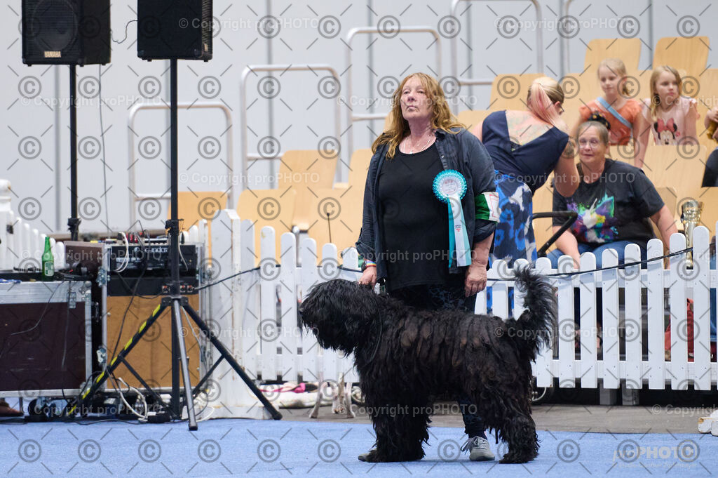 202406_ÖKV-IHA-Tulln24_DSC_2835 | proPHOTO - Realisiert mit Pictrs.com