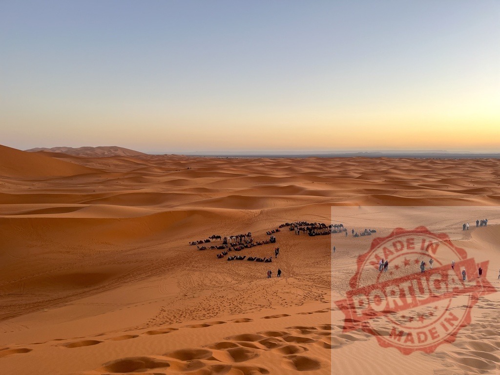 Tourists observing camels resting in Sahara Desert at sunset, Morocco | Dromedary camels resting on sand dunes in Sahara Desert during sunset with tourists walking nearby in Merzouga, Morocco - Realized with Pictrs.com