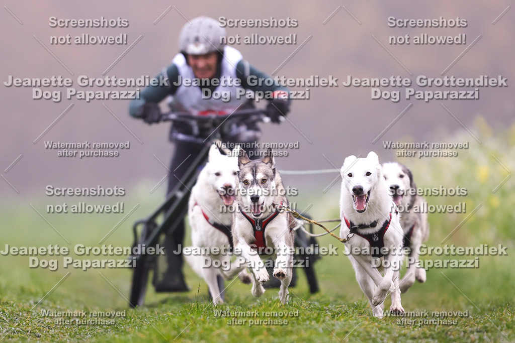 Dog Paparazzi - Visbeck 25 -18 | Dog Paparazzi Jeanette Grottendiek Fotografie & Videografie - Realisiert mit Pictrs.com