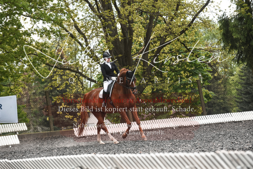 20230514_JK-Röhrsdorf-24-067 | Pferde- und Turnierfotografie in Westsachsen. Pferdeportraits, Auftragszeichnungen und intuitive Kunst.
