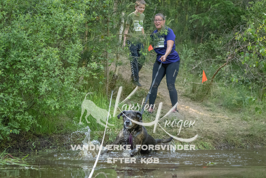1744DKK992488 | kk-dogfotos