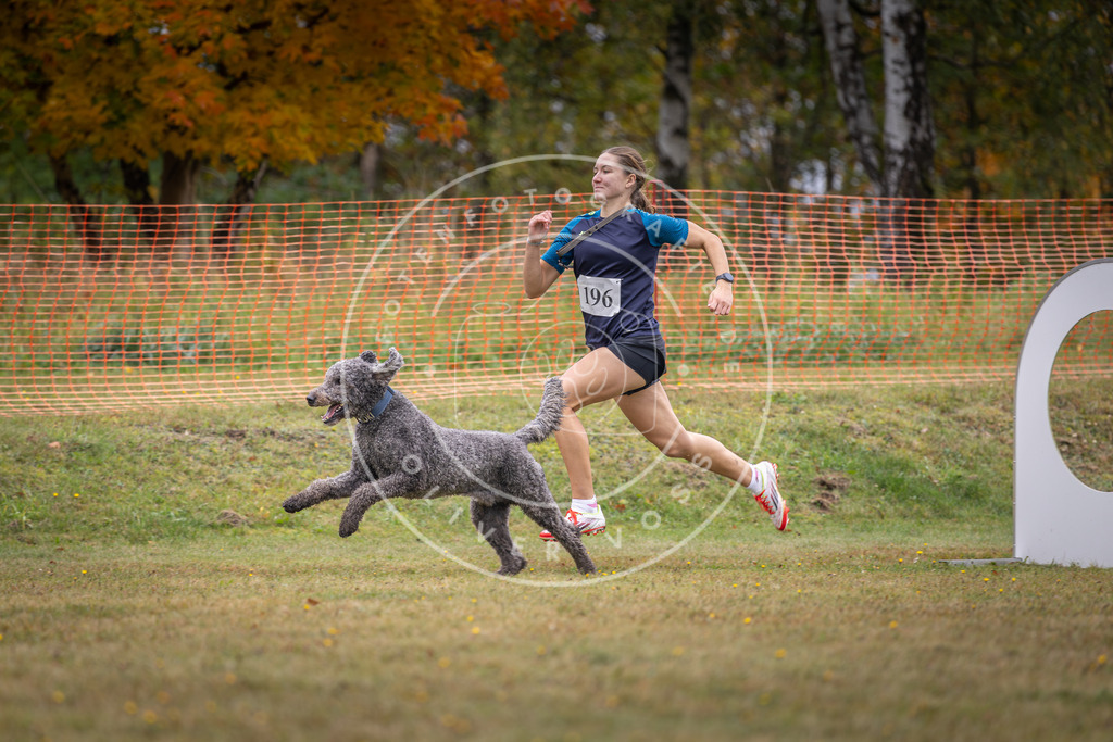 Pfotenfotografie_DV3A1411 | Hundefotografie, Tierfotograf, Pfotenfotografie, Fotoshooting Hund, Hunde Portrait, Hundesport, Hundeportraits, Heideshooting, Hunde, Sportfotograf, Hundefotograf, Turnierhundsport, THS,  - Realisiert mit Pictrs.com
