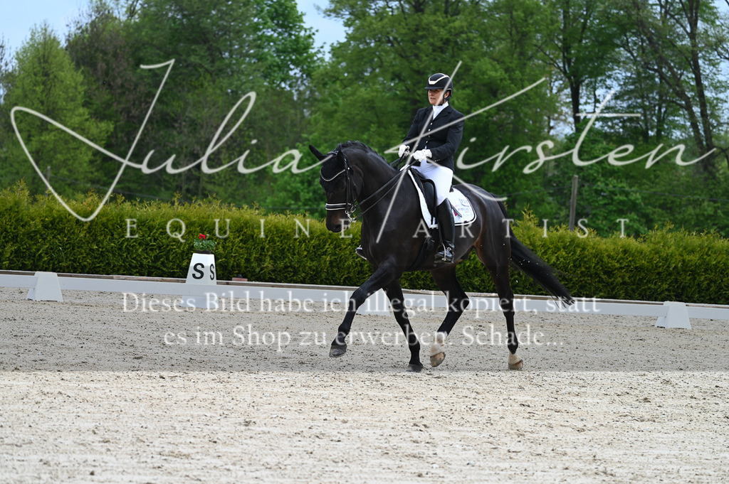 20230512_JK-Röhrsdorf-05-103 | Pferde- und Turnierfotografie in Westsachsen. Pferdeportraits, Auftragszeichnungen und intuitive Kunst.