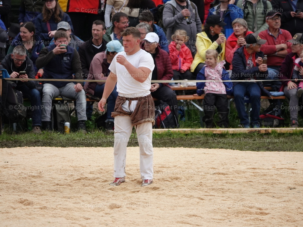 DSC07649 | Schwingen - Realized with Pictrs.com