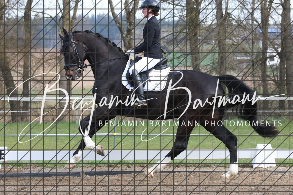 AZ2A6528 | Benjamin Bartmann Photomoments