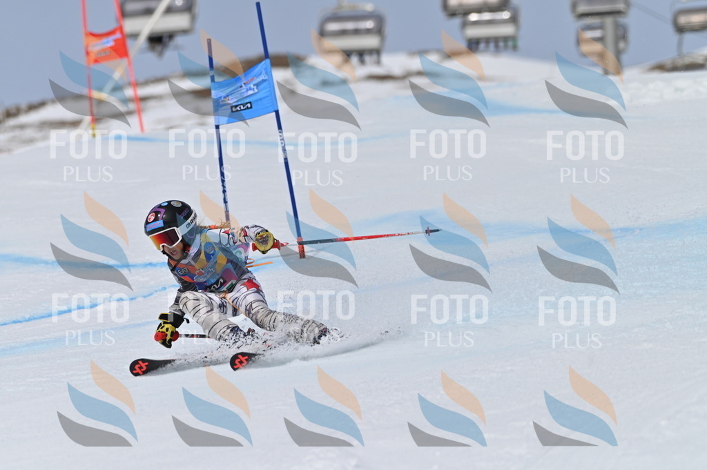 BGV_5101 | holidayphoto