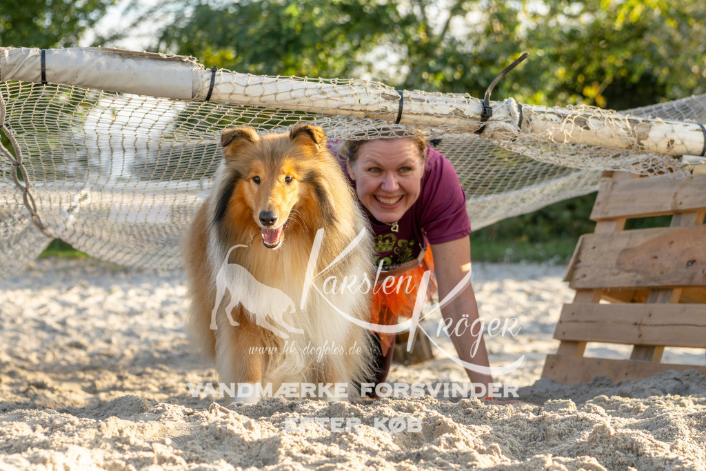 1648_ZZ99707 | kk-dogfotos