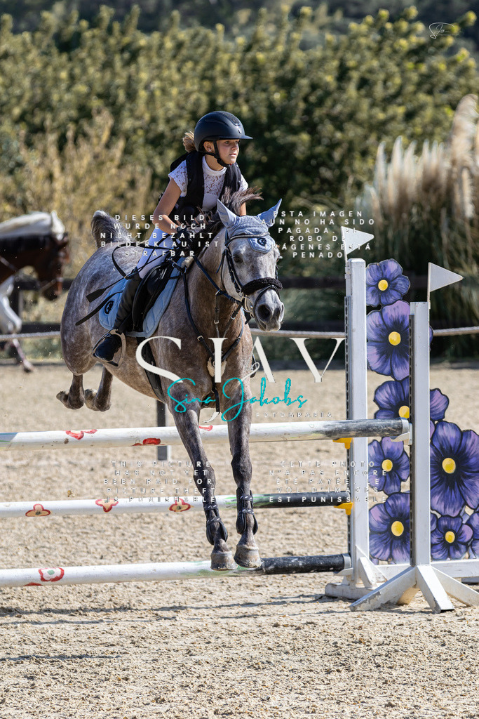 IMG_6314 | s-jay-photography - Realisiert mit Pictrs.com