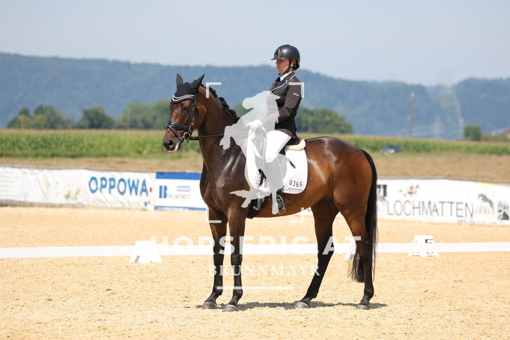 0P6A0478 | Willkommen bei Brunnmayr - Design & Fotografie – Ihrem Spezialisten für Reitturniere und Pferdeveranstaltungen in Oberösterreich, Salzburg und Bayern! Seit über 17 Jahren sind wir leidenschaftlich dabei.