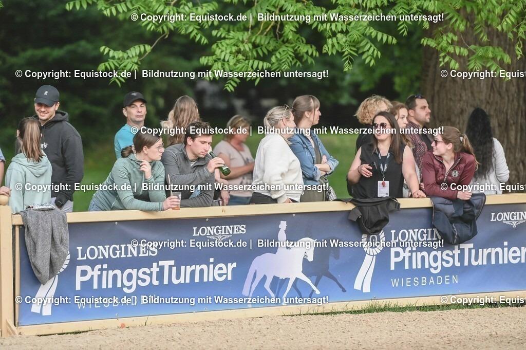 D78_3376 | equistock