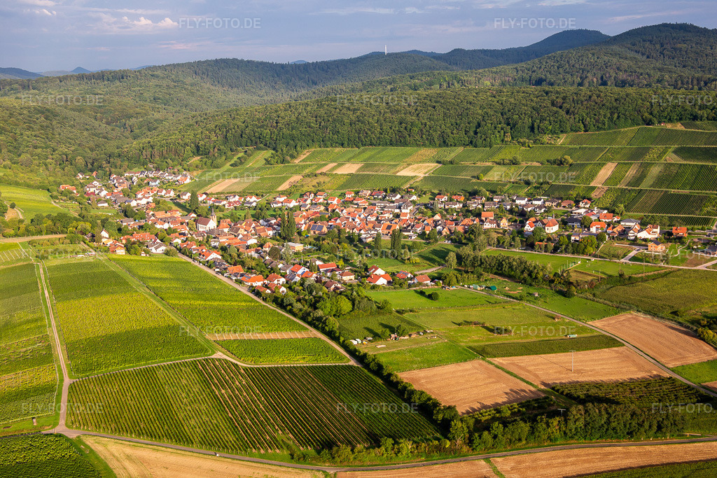 Luftbild: Ortsansicht von Osten im Ortsteil Pleisweiler in Pleisweiler-Oberhofen im Bundesland Rheinland-Pfalz in Deutschland. Foto: IMG_137681.jpg vom 12.08.2023 durch Werner Riehm/FLY-FOTO.de