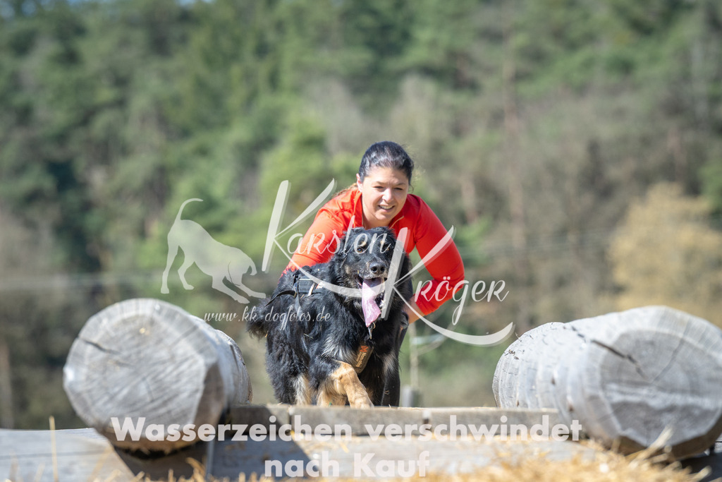 1224_ZZ99290 | kk-dogfotos