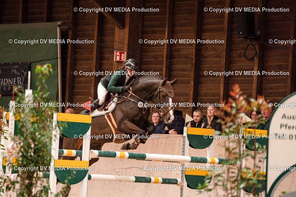 Springen Tag 3-391 | dv-media-shop - Realisiert mit Pictrs.com