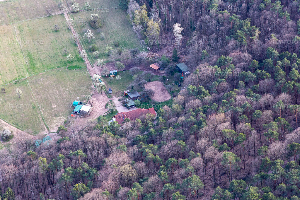 Luftbild: Ferienohnung Saigenranch in Pleisweiler-Oberhofen im Bundesland Rheinland-Pfalz in Deutschland. Foto: IMG_131187.jpg vom 12.04.2022 durch Werner Riehm/FLY-FOTO.de