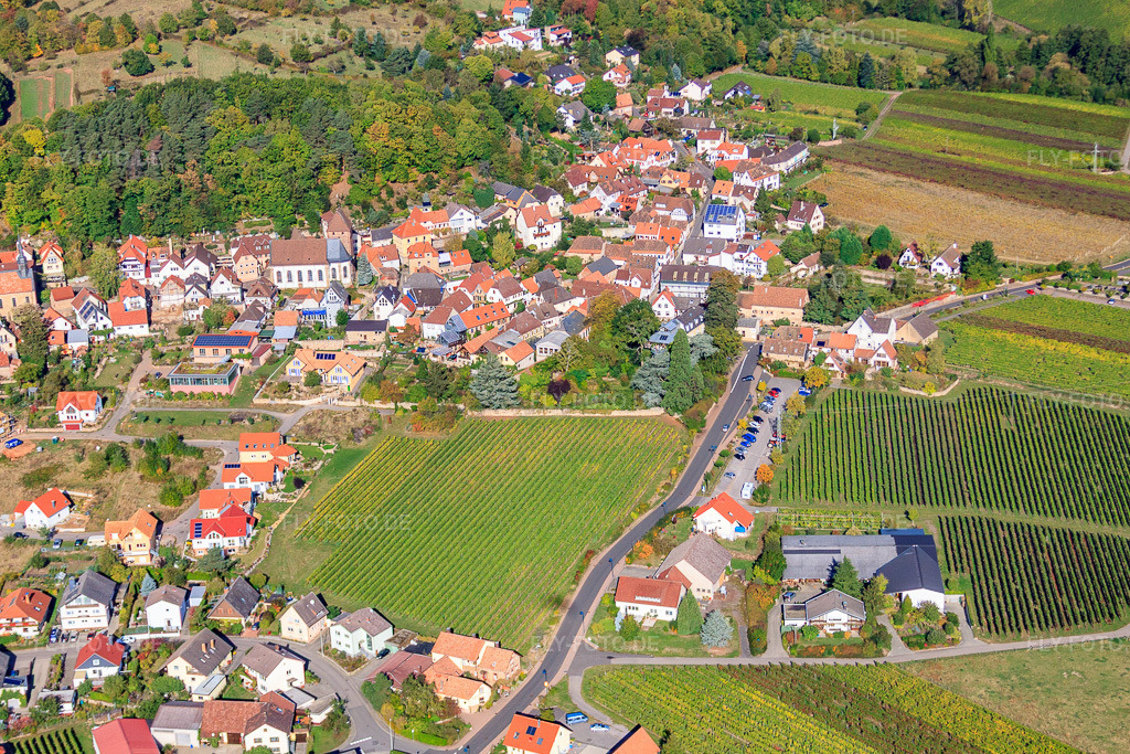 Luftbild: Weinstr in Gleisweiler im Bundesland Rheinland-Pfalz in Deutschland. Foto: IMG_22265.jpg vom 15.10.2009 durch Werner Riehm/FLY-FOTO.de