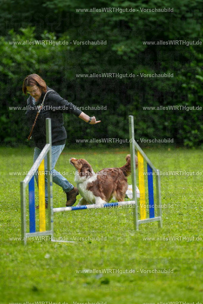 @allesWIRTHgut_Tierfotografie - www.allesWIRTHgut.de - 7R502558 | Professionelle Tierfotografie in Mönchengladbach von Daniel Wirth (allesWIRTHgut). Liebevolle & natürliche Bilder von Hunden & Katzen für unvergessliche Erinnerungen.