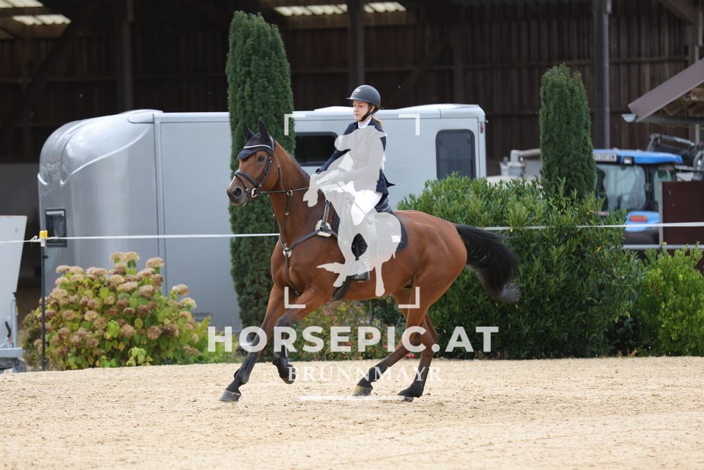 0P6A9249 | Willkommen bei Brunnmayr - Design & Fotografie – Ihrem Spezialisten für Reitturniere und Pferdeveranstaltungen in Oberösterreich, Salzburg und Bayern! Seit über 17 Jahren sind wir leidenschaftlich dabei.