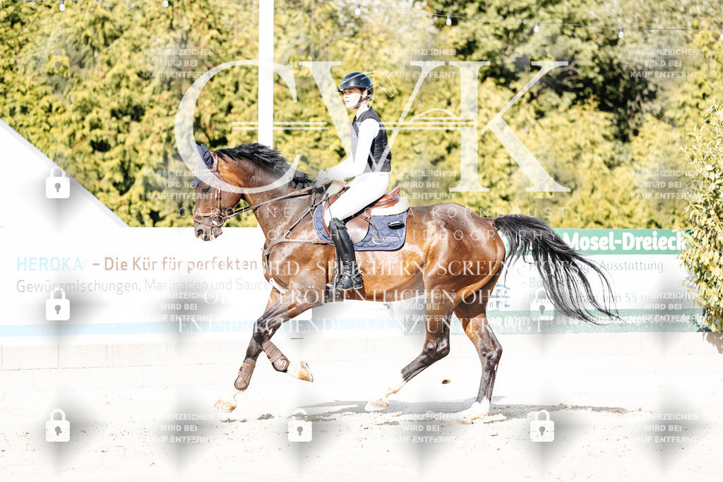 CK909248 | Turnierfotografie Pferdefotografie Trier Rheinland-Pfalz Pferdesport Reitsport Tierfotografie Sportfotografie Pferdevideo Pferdevideografie Equestrianvideography equestrianphotography  - Realisiert mit Pictrs.com