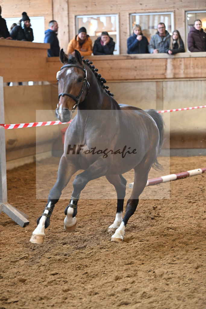 Kat-Nr. 24 Chaccalouu v. Conthalou_Rother-Link_16251038 | hf-fotografie - Realisiert mit Pictrs.com