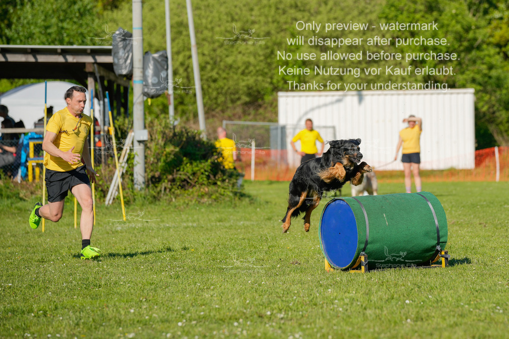 Sa_CSC-573 | stephaniefillaphotographie - Realisiert mit Pictrs.com