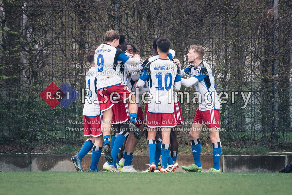 RS-1-035571 | HSV Spieler jubeln nach dem 2:0 Treffer