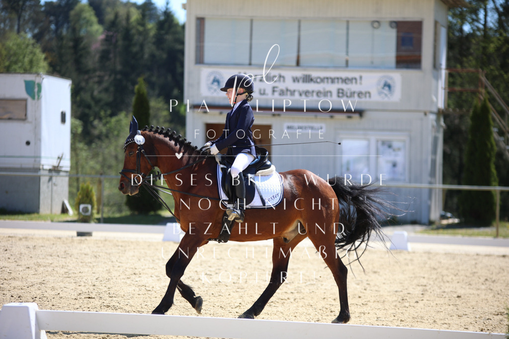 IMGT0797 | pl-fotografie