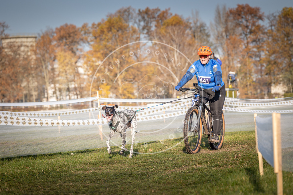 CaniXpix_0L8A4349 | Hundefotografie, Tierfotograf, Pfotenfotografie, Fotoshooting Hund, Hunde Portrait, Hundesport, Hundeportraits, Heideshooting, Hunde, Sportfotograf, Hundefotograf, Turnierhundsport, THS,  - Realisiert mit Pictrs.com