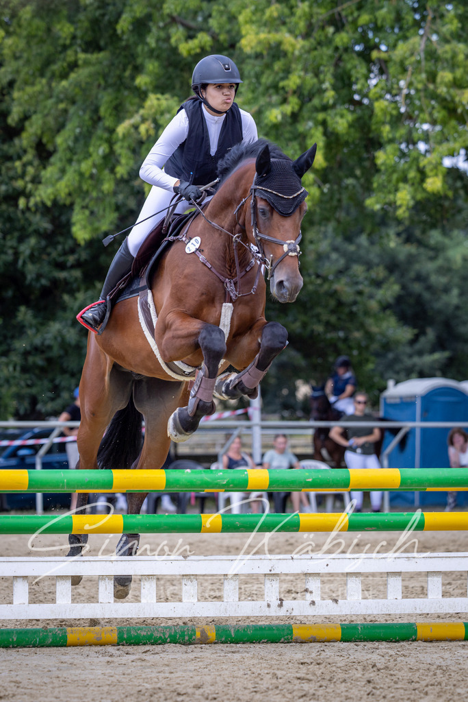 20260704-_3LI9980 | Tierfotografie Pferde, Hunde, Katzen, Haustiere.
Turnierfotografie Reitturniere, Reiten, Springreiten, Dressur in Hanau, dem Main-Kinzig-Kreis und dem Rhein-Main- Gebiet um Frankfurt