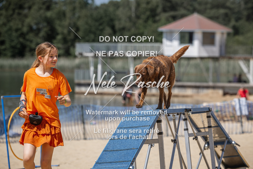 nelerasche_saBeachility_860 | nelerasche