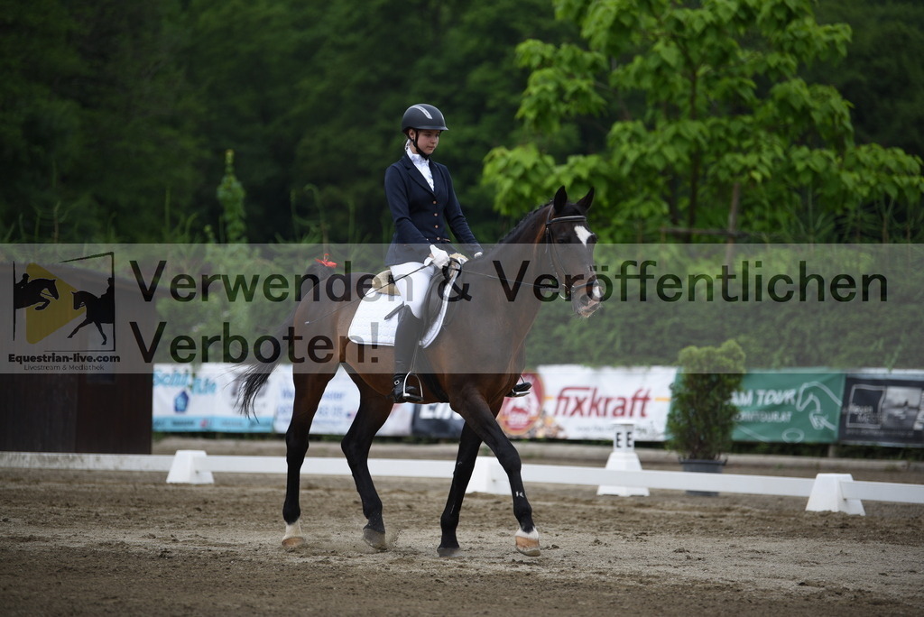 DSC_8062 | equestrian-live-com