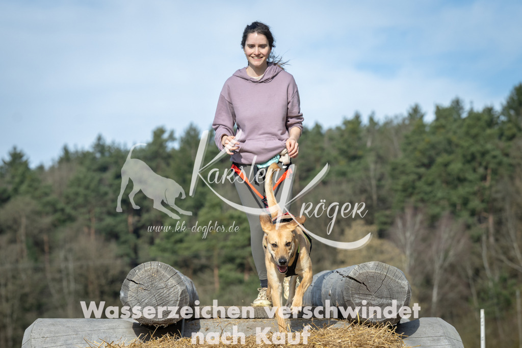 0957_ZZ97628 | kk-dogfotos