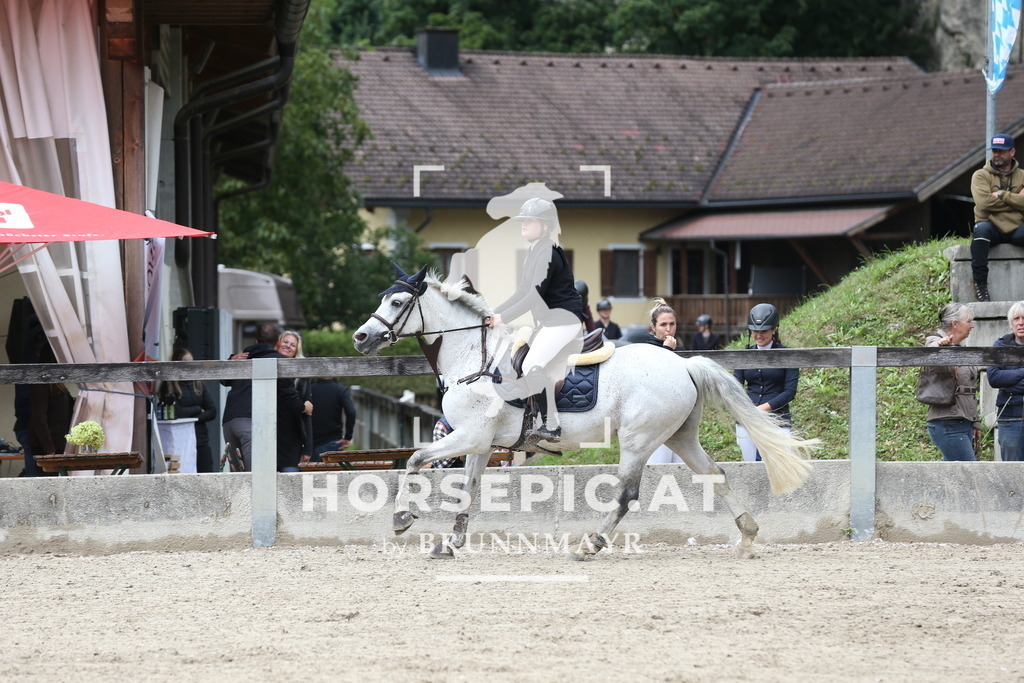 DL2Q0073 | Willkommen bei Brunnmayr - Design & Fotografie – Ihrem Spezialisten für Reitturniere und Pferdeveranstaltungen in Oberösterreich, Salzburg und Bayern! Seit über 17 Jahren sind wir leidenschaftlich dabei.