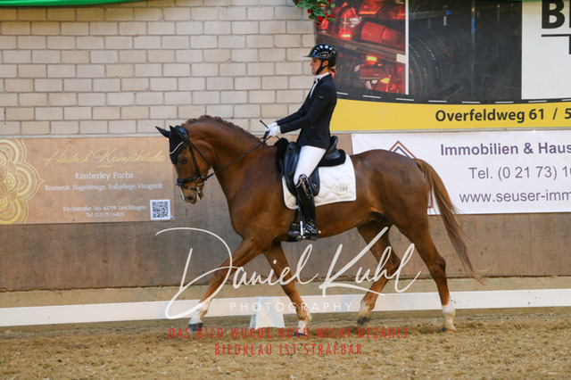 IMG_2939 | Turnierfotos kaufen im Webshop von Daniel Kuhl Photography – entdecke professionelle Reitsportfotos aus Turnieren & Events. Hochwertige Turnierbilder online bestellen & sichern. Jetzt Fotos von Reitsportturnieren kaufen!