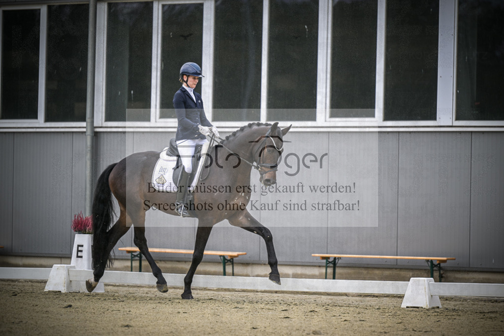 DOS_0447 | Entdecke hochwertige Reitturnierfotos von Foto Oger. Professionell, emotional und authentisch – jetzt Lieblingsmomente im Shop bestellen.Deutschlandweite Turnierfotografie. - Realisiert mit Pictrs.com