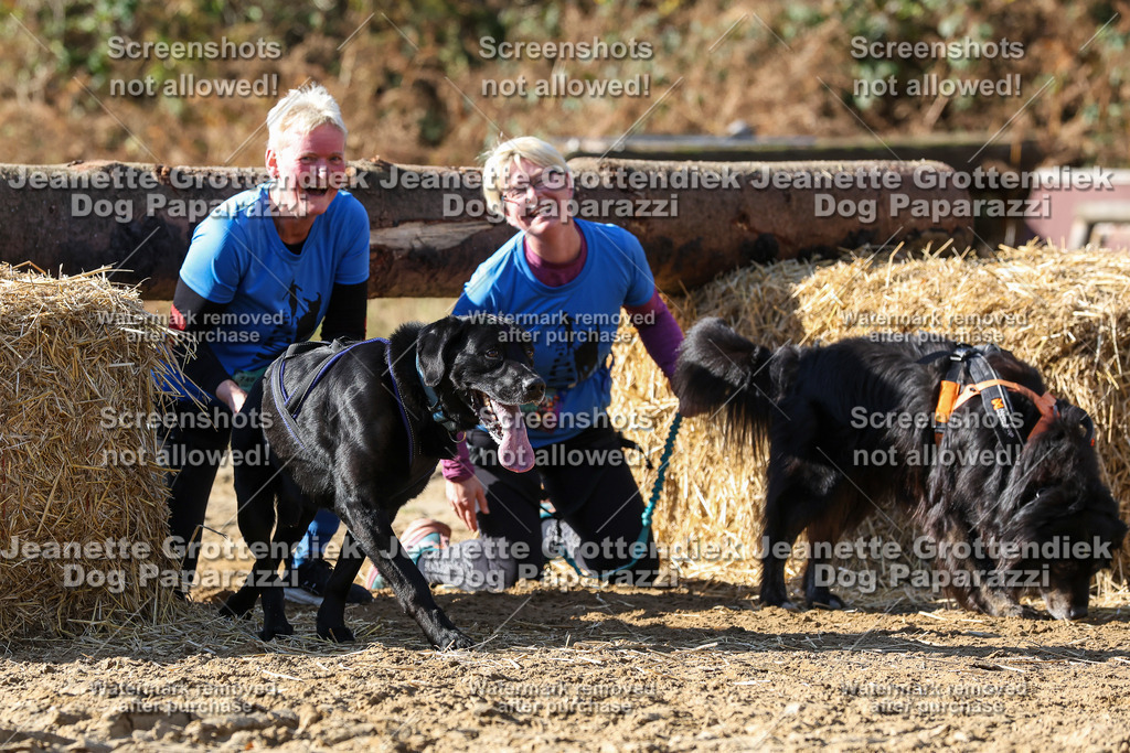 Dog Paparazzi - Strongdog 10-25-4796 | Dog Paparazzi Jeanette Grottendiek Fotografie & Videografie - Realisiert mit Pictrs.com