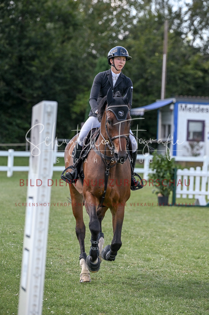 Schugtsche-Düren.2024-09.Springprf.L-193 | Schugtsche Fotografie - Realisiert mit Pictrs.com