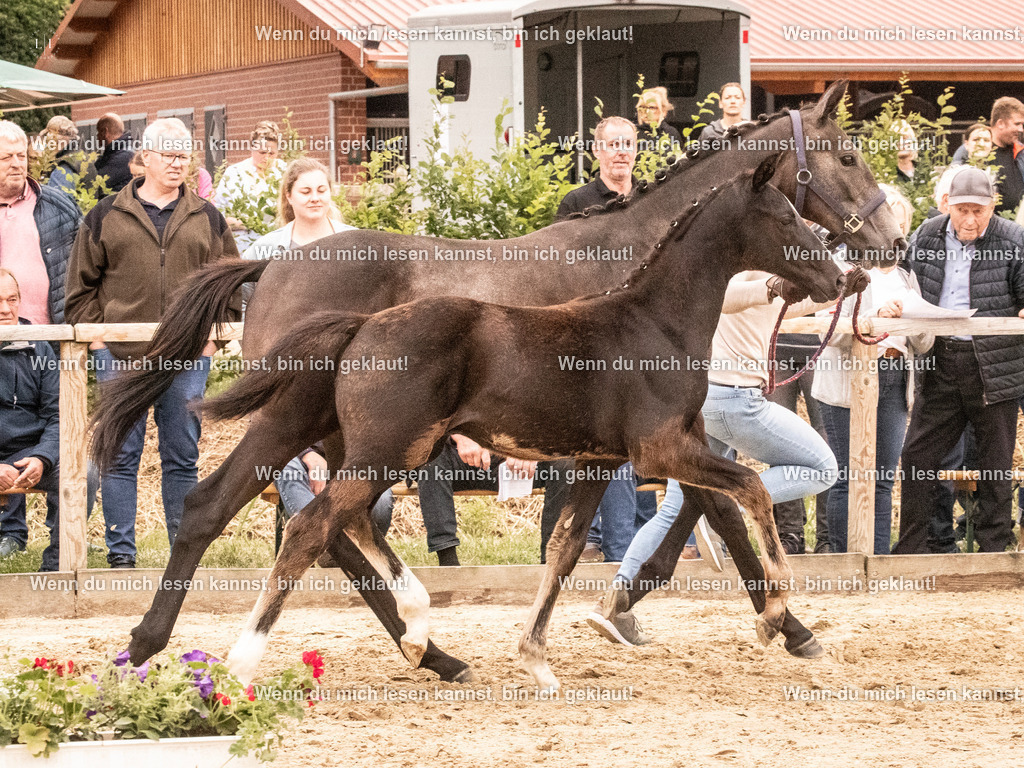 A10I1668 | photographylinaismer - Realisiert mit Pictrs.com