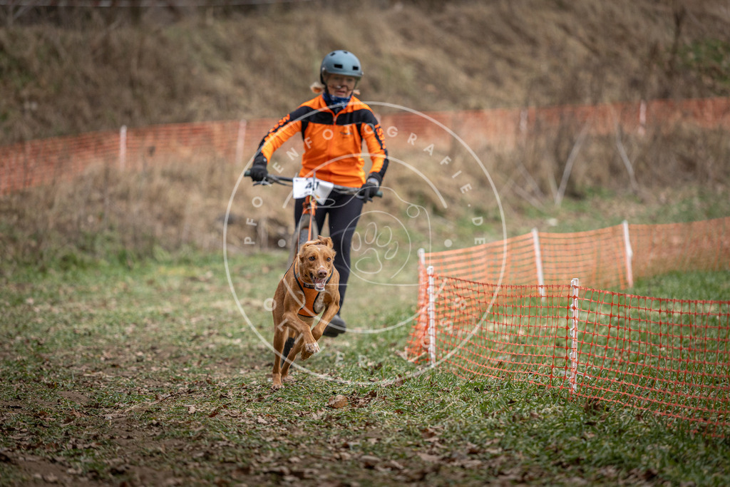 Pfotenfotografie_DV3A0421 | Hundefotografie, Tierfotograf, Pfotenfotografie, Fotoshooting Hund, Hunde Portrait, Hundesport, Hundeportraits, Heideshooting, Hunde, Sportfotograf, Hundefotograf, Turnierhundsport, THS,  - Realisiert mit Pictrs.com