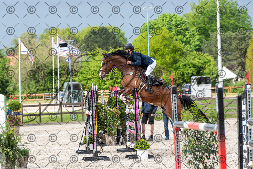 KPT_0184 | andre_photographic