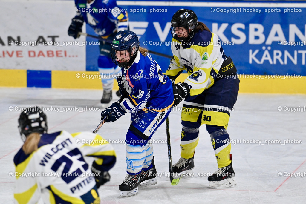 LADY HAWKS vs. WILDCATS PATERNION | #98 Walluschnig Nadine Ramona LADY HAWKS, #30 Sauerbier Dana Kiara WILDCATS PATERNION, LADY HAWKS vs. WILDCATS PATERNION, LADY HAWKS vs. WILDCATS PATERNION am 12.03.2025 in Steindorf (Ossiachersee Halle), Austria, (Photo by Bernd Stefan)