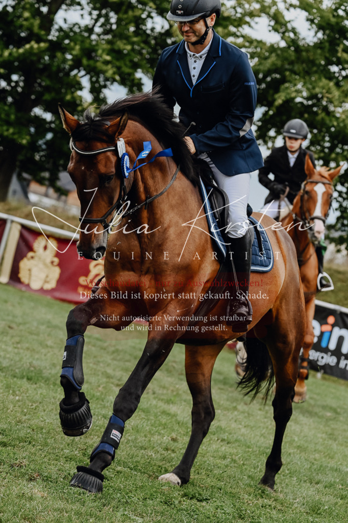 DSC_7139 | Pferde- und Turnierfotografie in Westsachsen. Pferdeportraits, Auftragszeichnungen und intuitive Kunst.