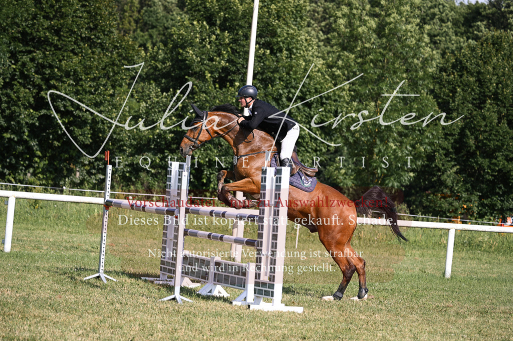 DSC_1503 | Pferde- und Turnierfotografie in Westsachsen. Pferdeportraits, Auftragszeichnungen und intuitive Kunst.